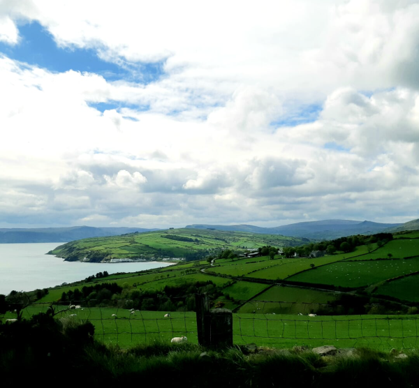 scenic view of green farmland next to the Ocean and blue skies with white clouds.