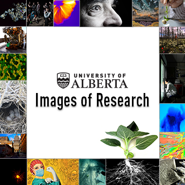 University of Alberta Images of Research