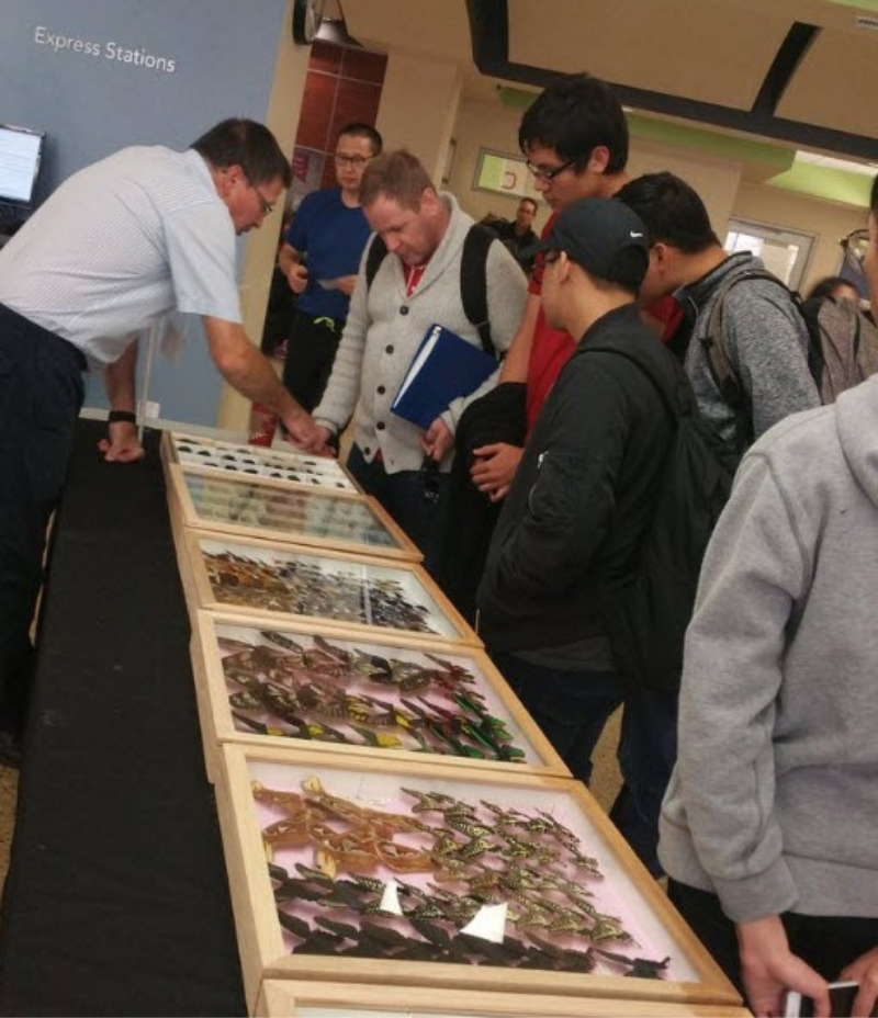 Students look into display cases of butterflies and other insects while a presenter explains the content of the cases.