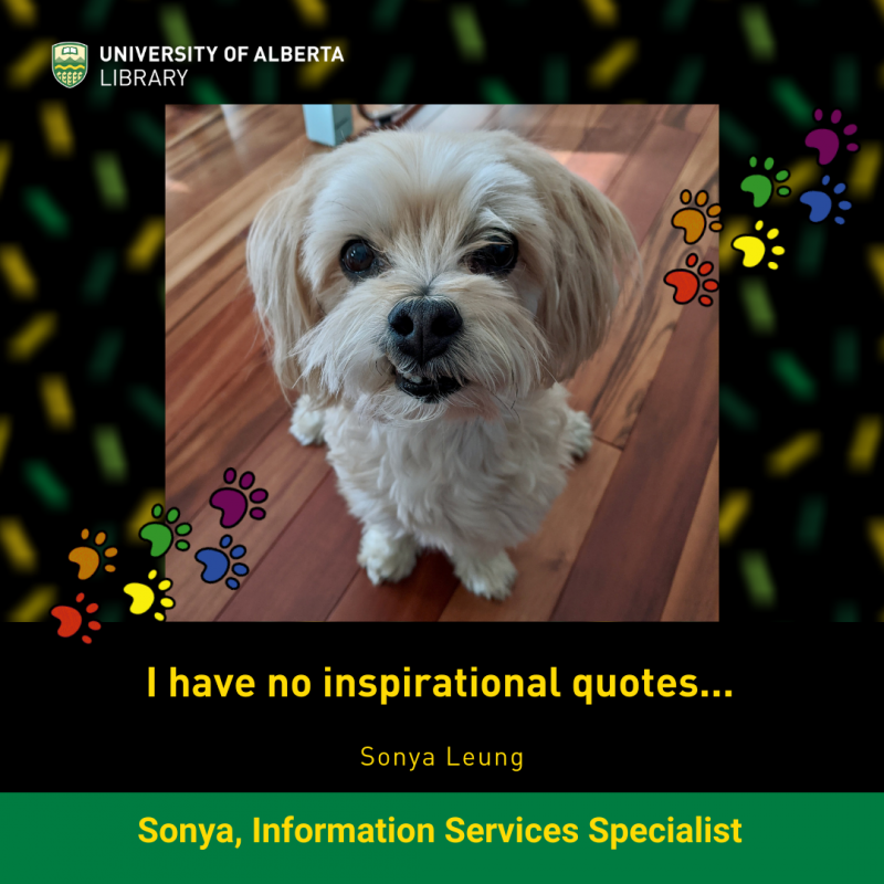 UAlberta ISS Sonya's little white dog named Coconut