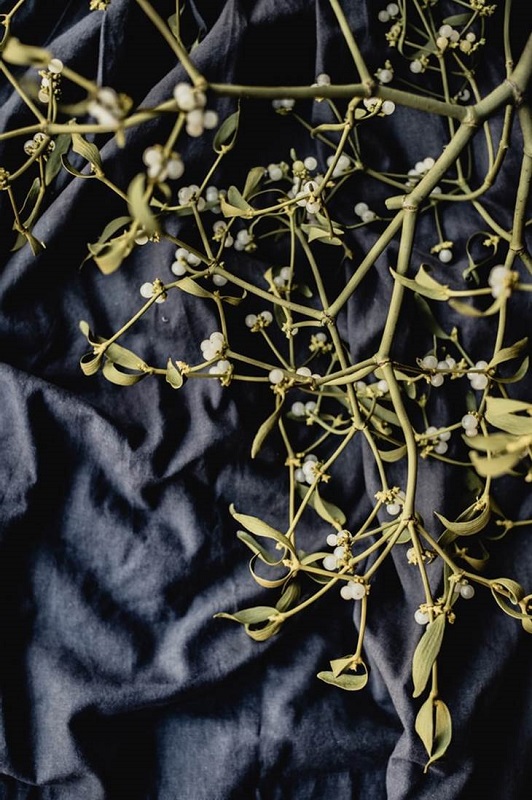 Photo of mistletoe branches with white berries on a dark background.