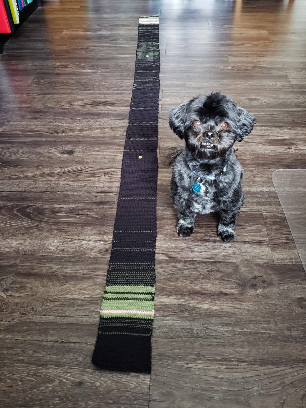 A long black and green striped swatch next to a small dog on a wooden floor. 