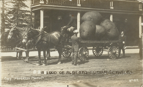Horse-drawn Wagon of giant potatoes, an example of photo manipulation.