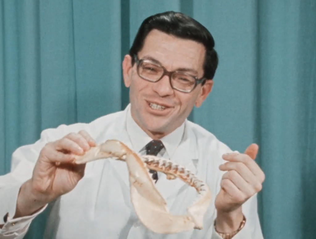 Dr. Geoffrey Sperber showcasing a shark jawbone in a 1974 interview.